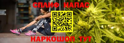 дмт Шелехов