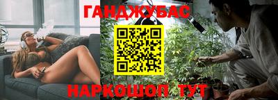 дмт Шелехов