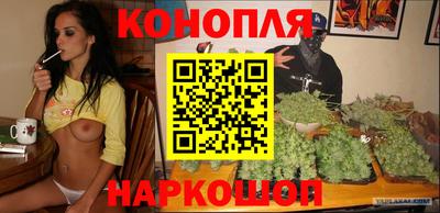 дмт Шелехов