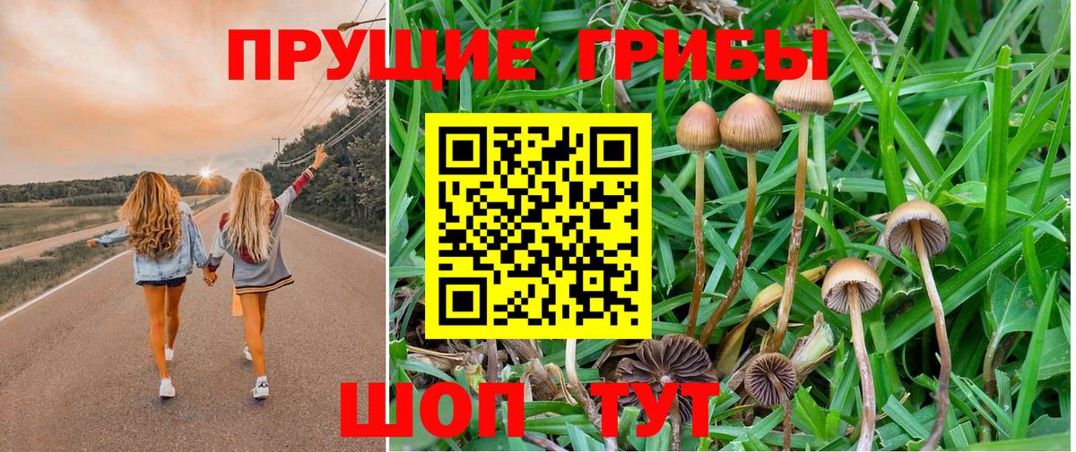 Псилоцибиновые грибы Cubensis Анапа